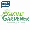 The Gestalt Gardener | Fantastic Fruits and Where to Grow Them