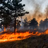 Fighting Fire with AI: Technosylva and The Future of Wildfire Prediction