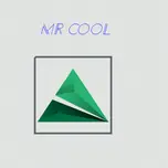Mr cool