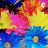 A5.Multimedia resources by H. Quishpe & J. Collaguazo