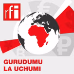 Gurudumu la Uchumi