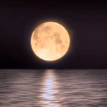 lunarr