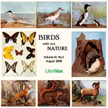Birds and All Nature, Vol. IV, No 2, August 1898 by Various