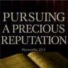 Pursuing A Precious Reputation