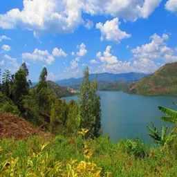 Amanywa