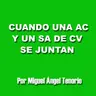 E07 - CUANDO UNA AC Y UN SA DE CV SE JUNTAN