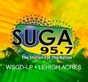 SUGA 95.7 FM Radio Station - WSGD-LP