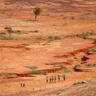Le journal du 22 juillet 2026 - Climat au Sahel et prévention sanitaire