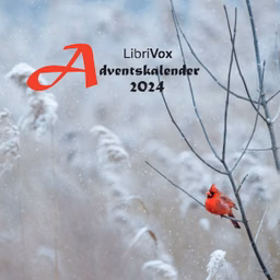 Adventskalender 2024 by Various