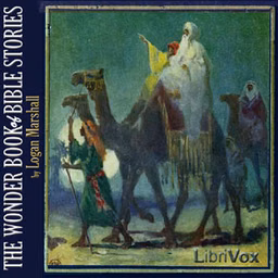 Wonder Book of Bible Stories