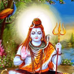 AANMEEGA SUDAR