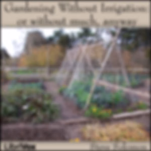 Gardening Without Irrigation: or without much, anyway by  Steve Solomon (1942 - )