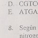 Elvergalarga