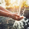 Sunlight And Water Are Uniquely Fit to Sustain Life