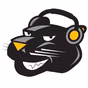 Prowl Radio
