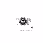 TOP ELECTRONIC