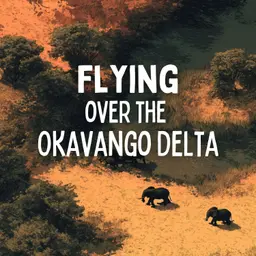 Flying over the Okavango Delta
