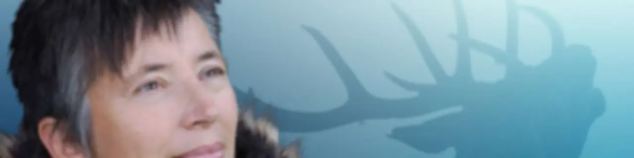 Accidental Gods