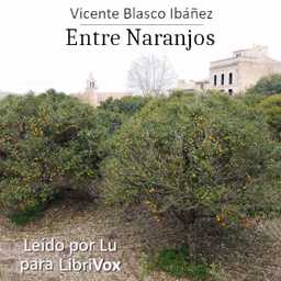 Entre naranjos