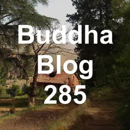 285-Zucker - Buddha Blog - Buddhismus im Alltag