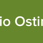 Radio Ostimuri