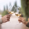 Top 10 #Cosas Raras Por Las Que Haces Un Brindis