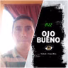 Plenaria campa 2022