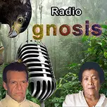 Radio Gnosis