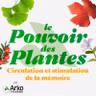 Circulation et stimulation de la mémoire