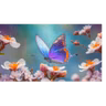Butterfly and Transformation ~