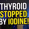 Why Your Thyroid Stops Working When You Get Too Much Iodine