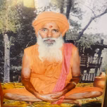 Swami Ji Namol