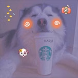 aaaaaaaaa
