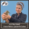 Mary Colwell: A love of Nature, a passion for Curlews