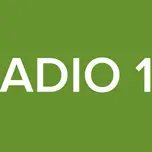 (  RADIO 12  )