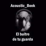 Acoustic Book