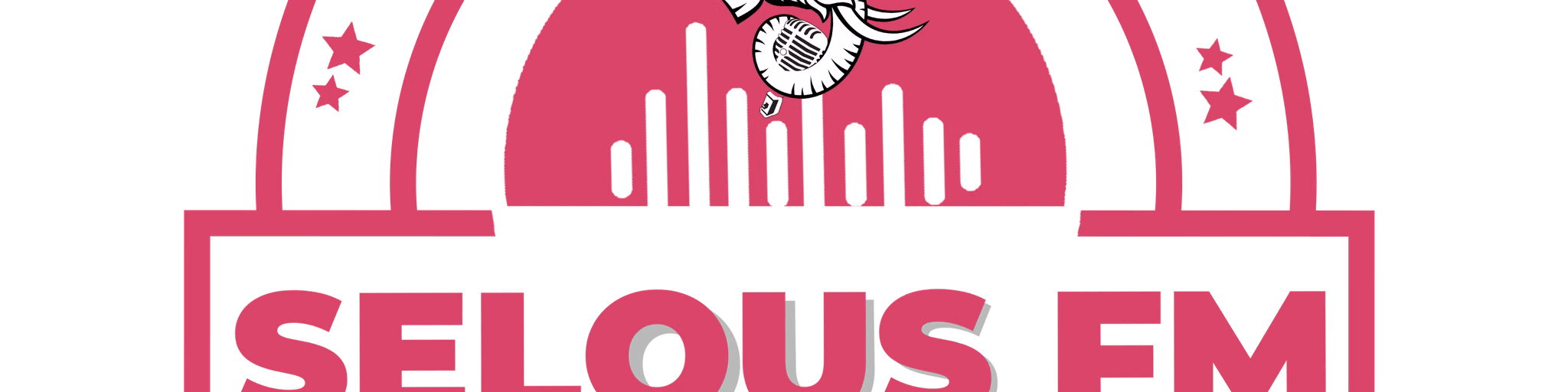 SELOUS FM RADIO