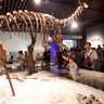 Museum fever for summer vacation