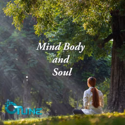 Mind Body and Soul