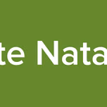 Noite Natalina