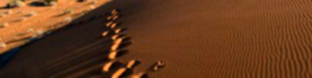 Becoming a Tracker of God's Presence