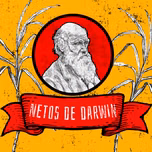 Netos de Darwin