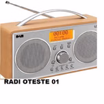 Radioiniciantes