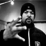 Ice cube