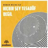 Hiçbir Şey Tesadüf Değil