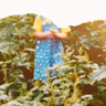 All That’s Unseen, Inside Appalachia