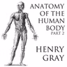 55 - Muscles and Fasciae of the Foot