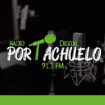 Radio Portachuelo Digital 91.1 FM