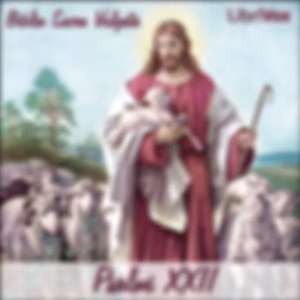 Bible (Biblia Sacra Vulgata) 19: Psalmi XXII by Biblia Sacra Vulgata
