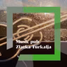 Music Pub Zlatka Turkalja - Darko Rundek